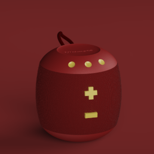 Modélisation enceinte