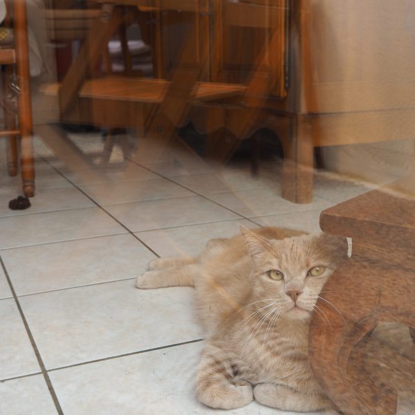 Photographie