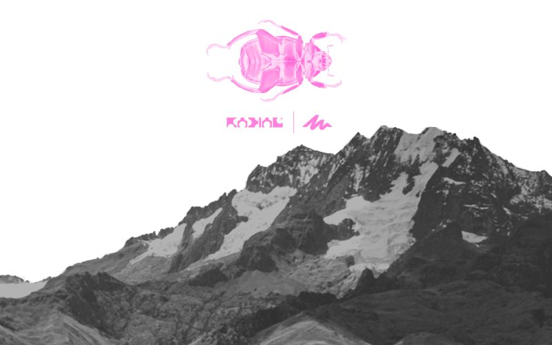 Radial x Quechua